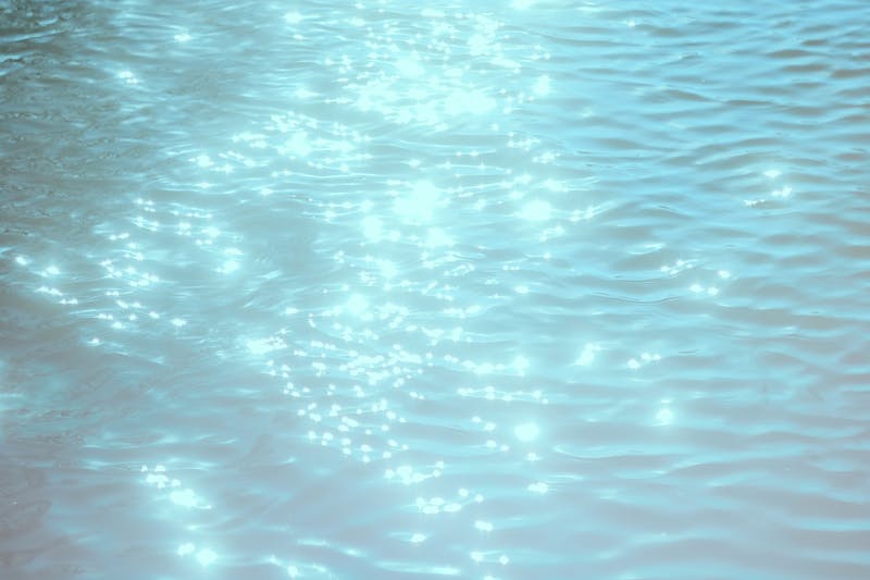 Sparkling water with lemon slice and mint